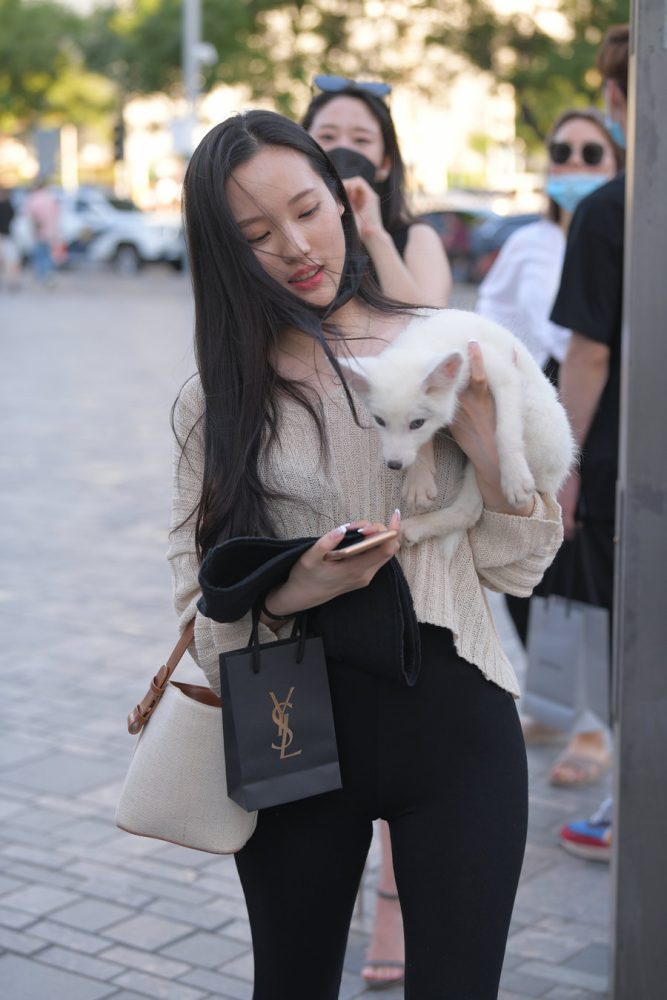 抱着小狗的漂亮女孩 J2106 136P-3.25GB-街头图